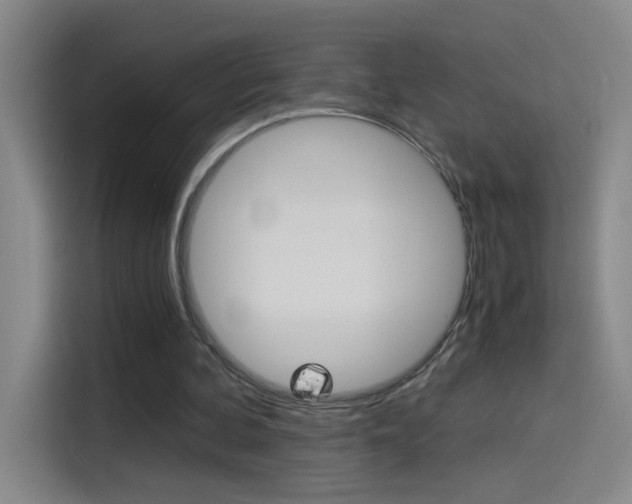 X0000114540292200910190937