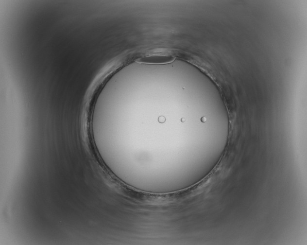 X0000114540293200910190937