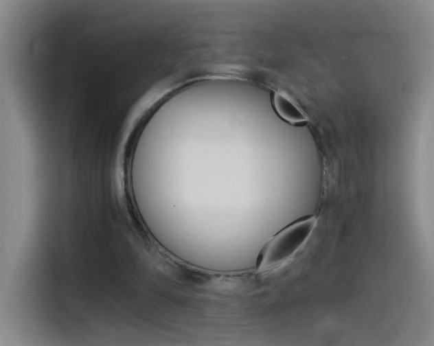 X0000114540294200910190937