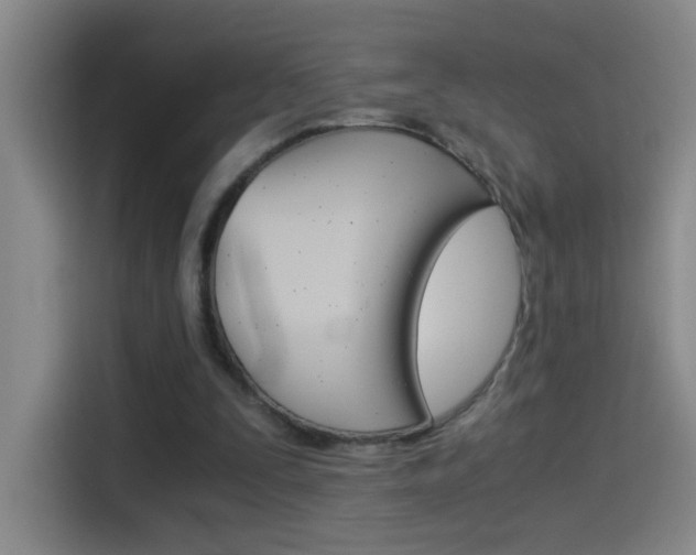 X0000114540295200910190937