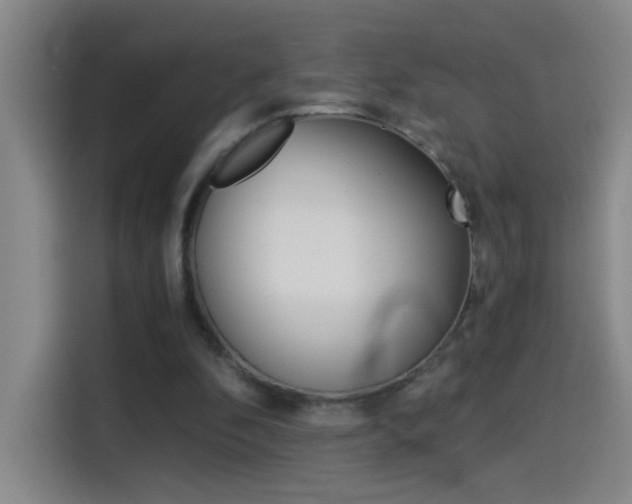 X0000114540296200910190937