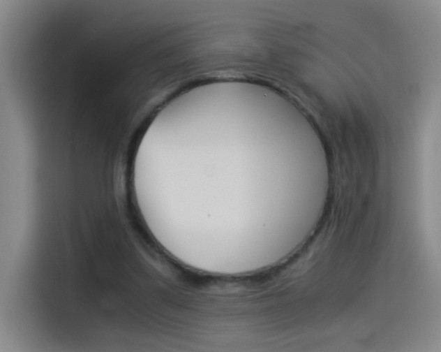 X0000114540299200910190937