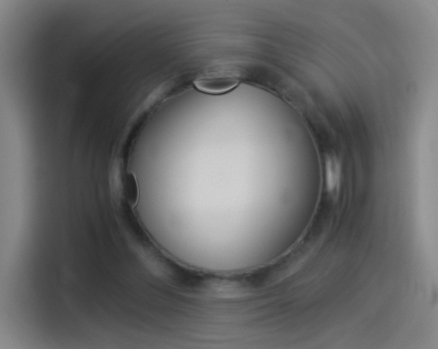 X0000114540300200910190937