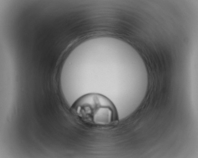 X0000114540304200910190936