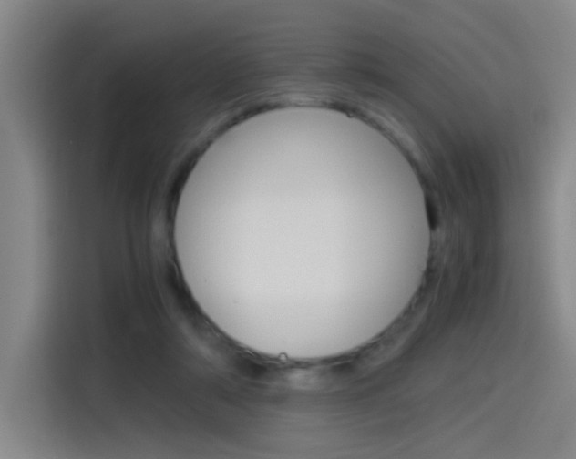 X0000114540306200910190936