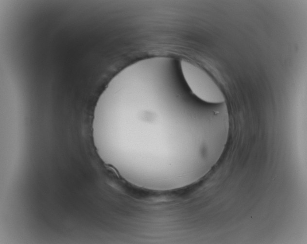 X0000114540307200910190936