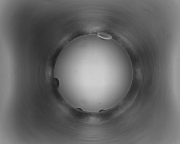 X0000114540308200910190936