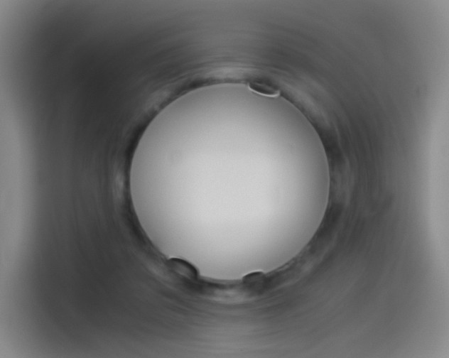 X0000114540309200910190936