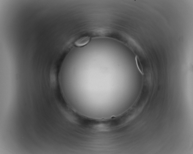 X0000114540312200910190936