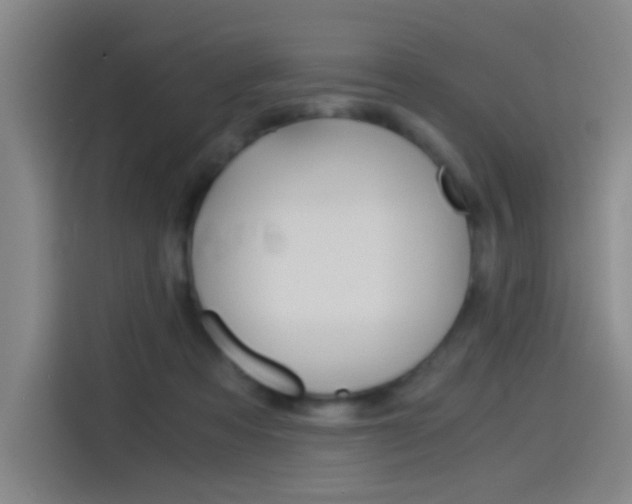 X0000114540313200910190936