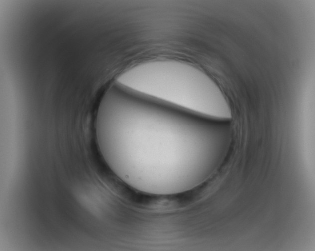 X0000114540319200910190936