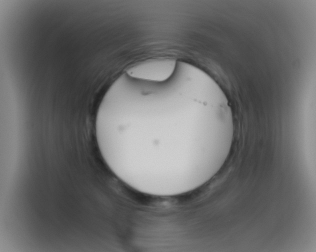 X0000114540321200910190936