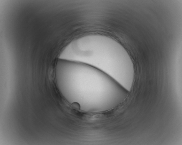 X0000114540323200910190936