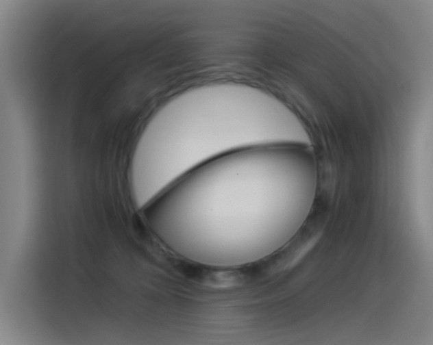 X0000114540324200910190936