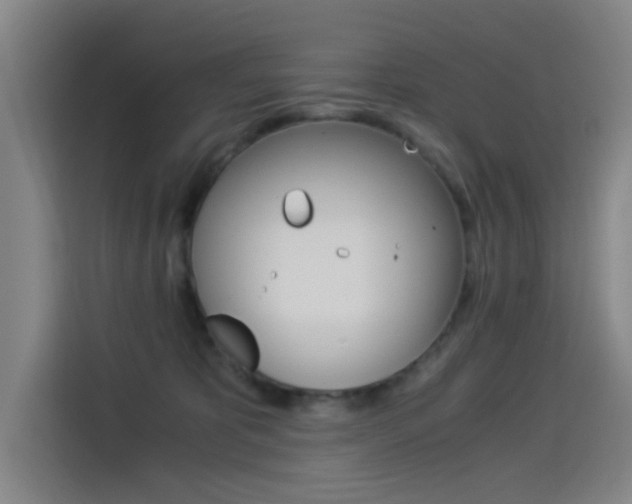 X0000114540325200910190936