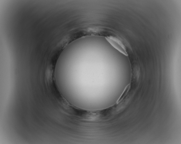 X0000114540328200910190936