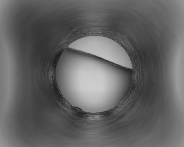 X0000114540332200910190936