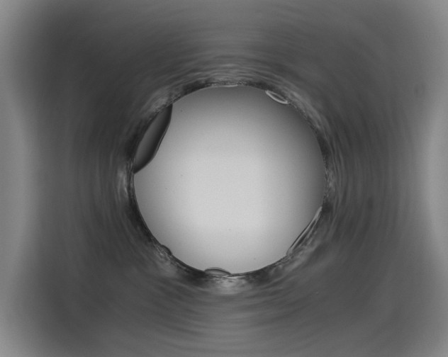 X0000114540333200910190936