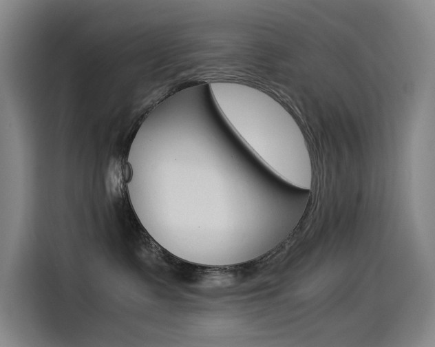 X0000114540335200910190936