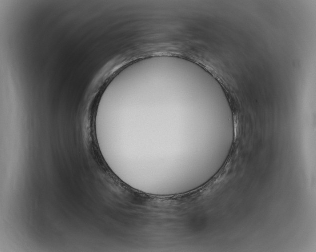 X0000114540339200910190935