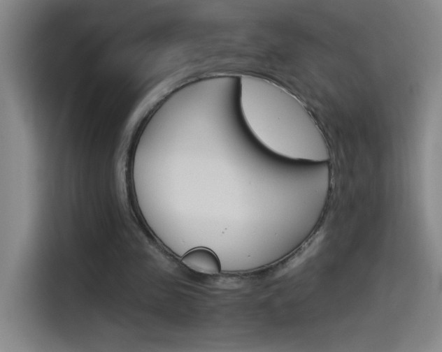 X0000114540341200910190936