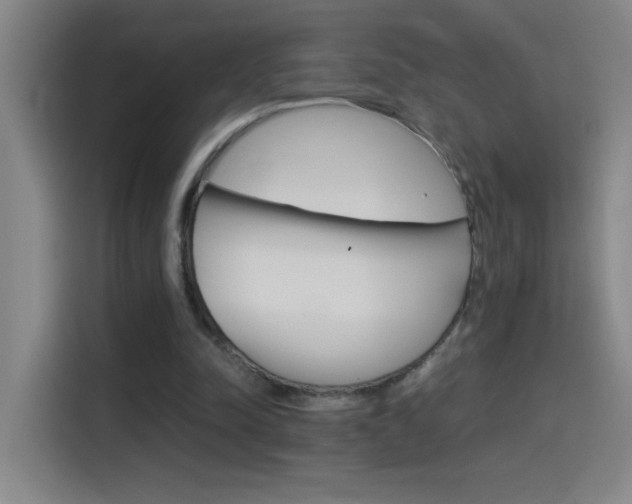 X0000114540342200910190936