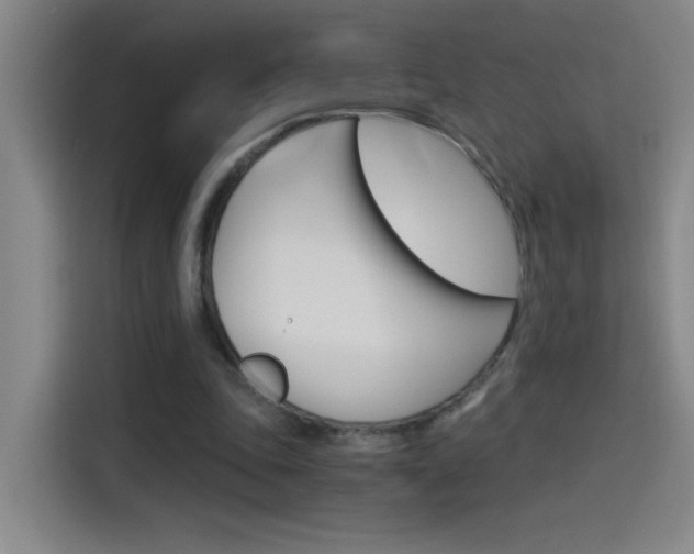 X0000114540343200910190936