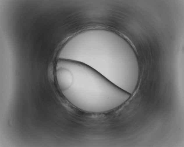 X0000114540345200910190936