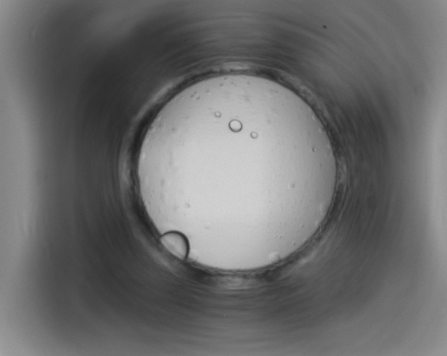 X0000114540347200910190936