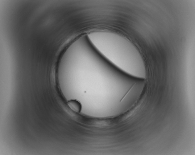 X0000114540349200910190936