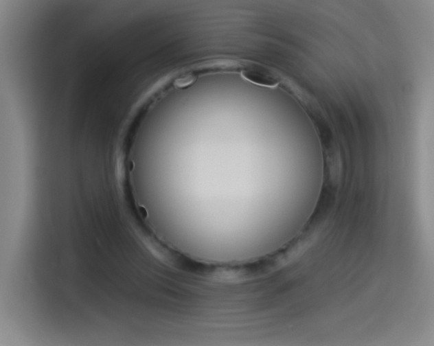 X0000114540350200910190936