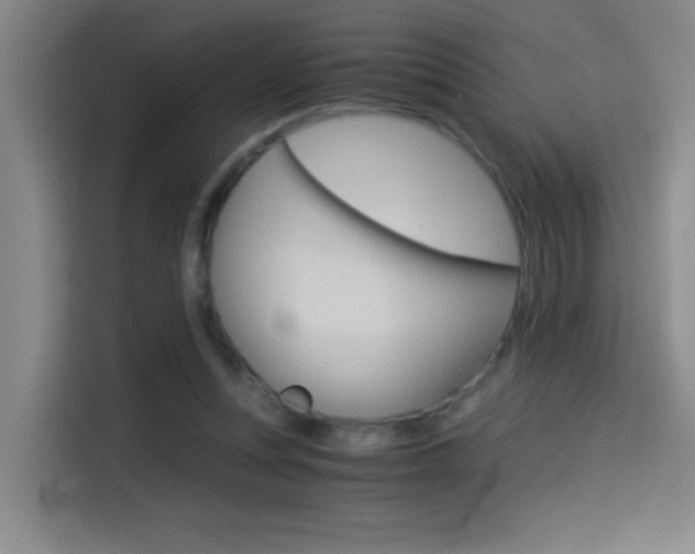 X0000114540351200910190936