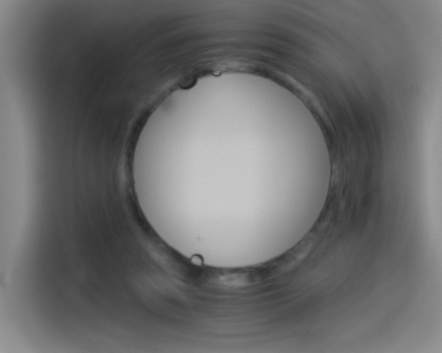 X0000114540353200910190936