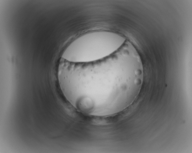 X0000114540354200910190936