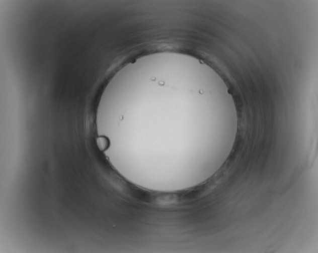 X0000114540355200910190936