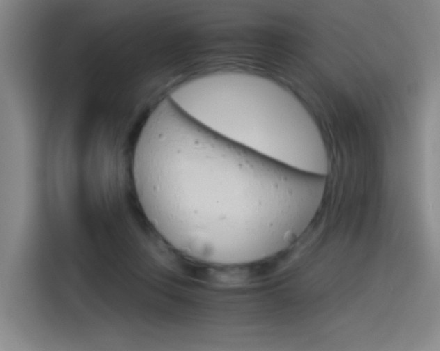 X0000114540359200910190936