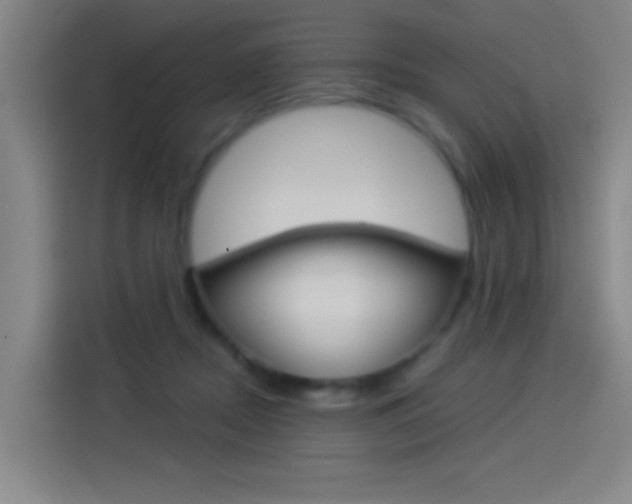 X0000114540362200910190936