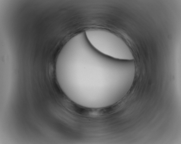 X0000114540365200910190936