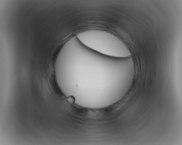 X0000114540367200910190936