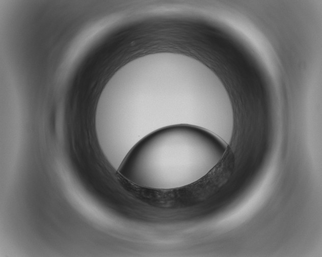 X0000114540382200910190936