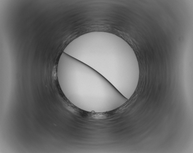 X0000114540383200910190936