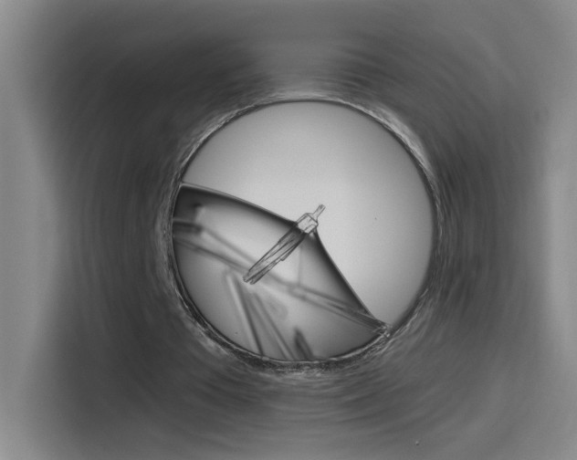 X0000114540385200910190935