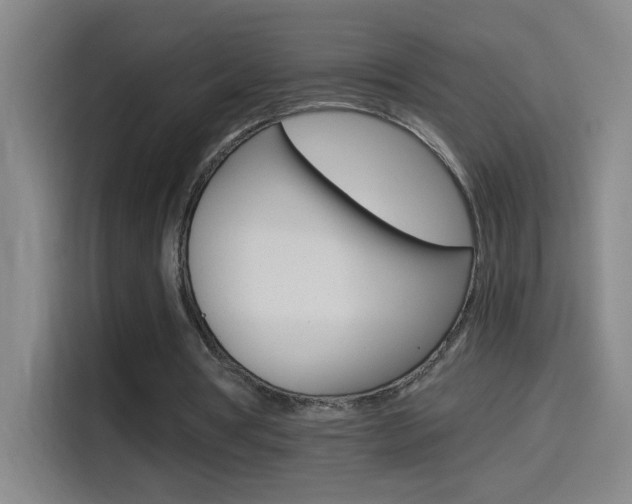 X0000114540386200910190935