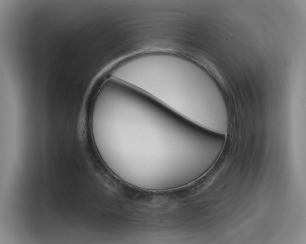 X0000114540388200910190935