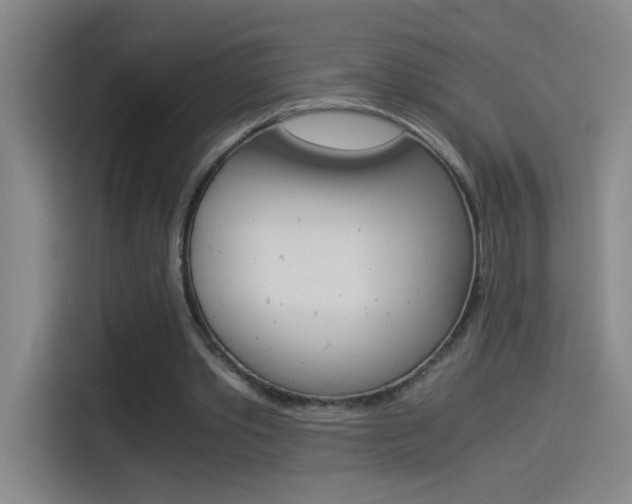 X0000114540389200910190935