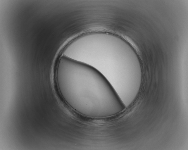 X0000114540391200910190935