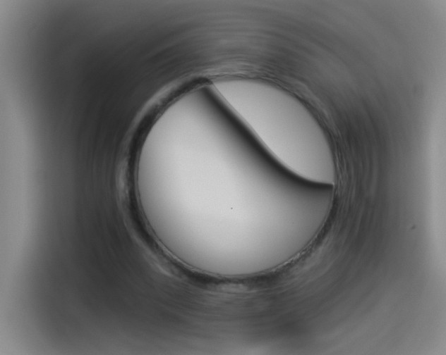 X0000114540392200910190935