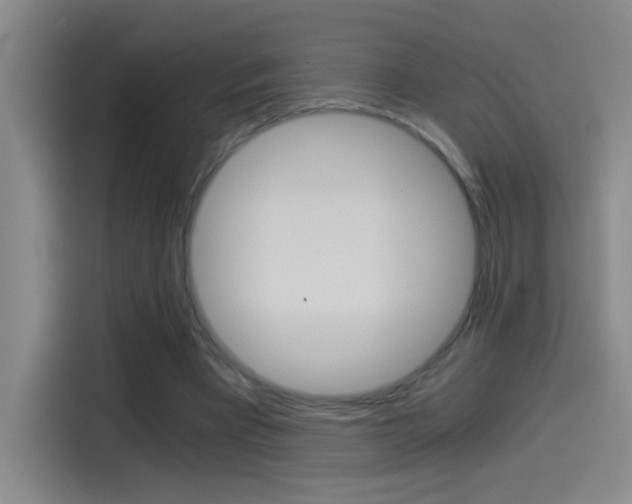 X0000114540393200910190935