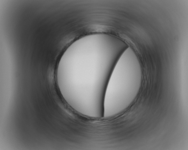 X0000114540394200910190935