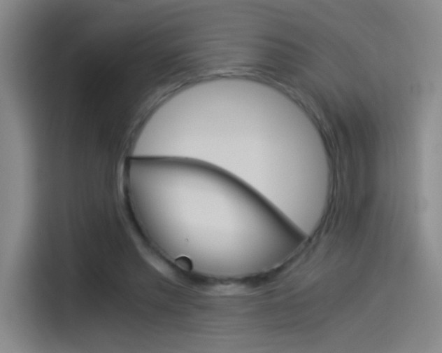 X0000114540397200910190935